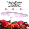 thumbnail image 7 of Yiwa 12 Pods Hydroponic Growing System with 120pcs 24W Full Spectrum Grow Lights in 5 Colors and Automatic Timer, GS1 Mini, 7 of 7