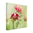 thumbnail image 2 of Trademark Fine Art 'Dream in Pink VIII' Canvas Art by Jennifer Jorgensen, 2 of 4