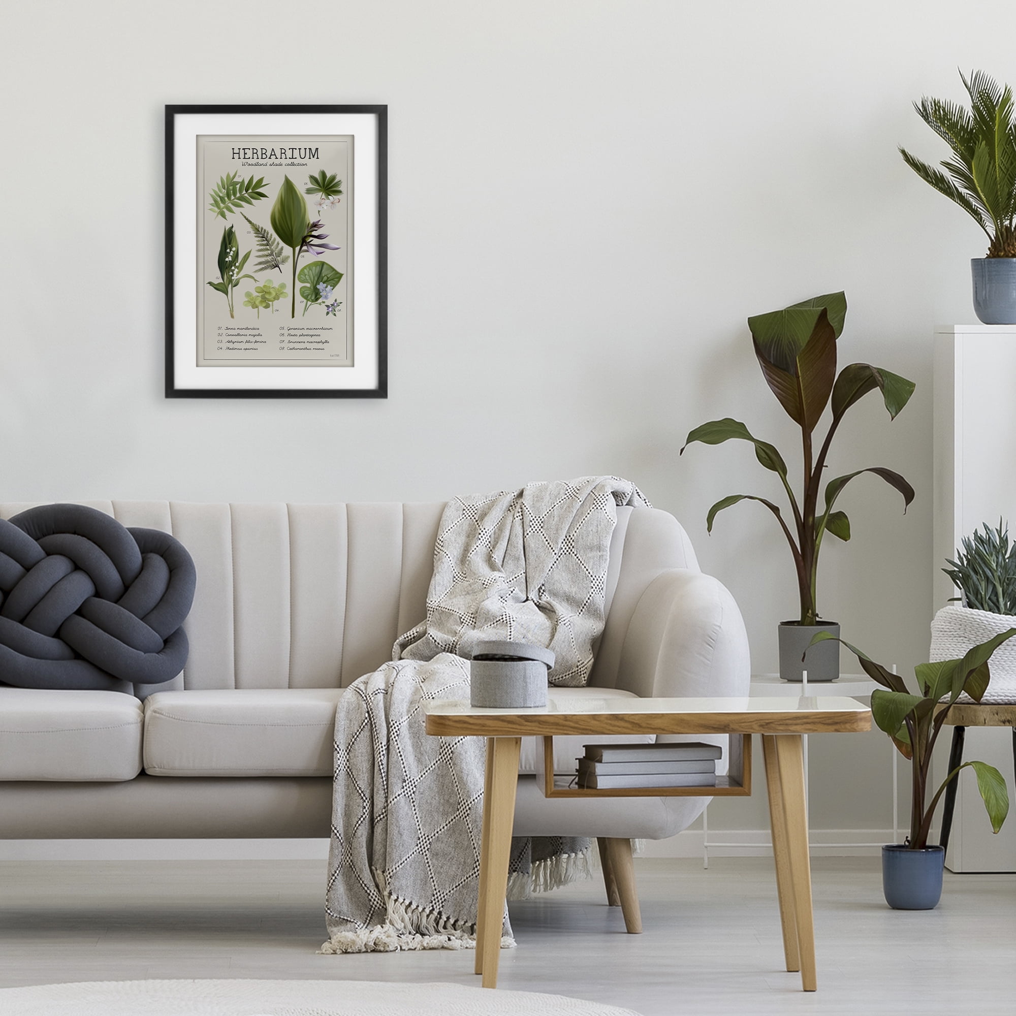 Stupell Industries Herbarium Woodland Shade Collection Black Framed Print Under Glass, design by House Fenway