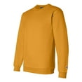 thumbnail image 2 of Champion Men's EcoSmart Double Dry Crew Neck Sweatshirt, 2 of 2