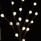 thumbnail image 3 of 2 luces LED de rama con pilas para rellenar jarrones., 3 of 8