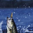 thumbnail image 1 of Calendario de Adviento de Set de Señuelos de Pesca Caja de calendario creativo de cuenta regresiva de aparejos de pesca navideños para niños adultos (YG-1), 1 of 7