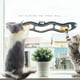 thumbnail image 3 of Juguetes interactivos para gatos, pista de bola, ventana, ventosa, pista de bola, accesorios para mascotas, pista de juego, tubería con bola, túnel, juguetes para mascotas, 57*10cm TUNC Sencillez, 3 of 5