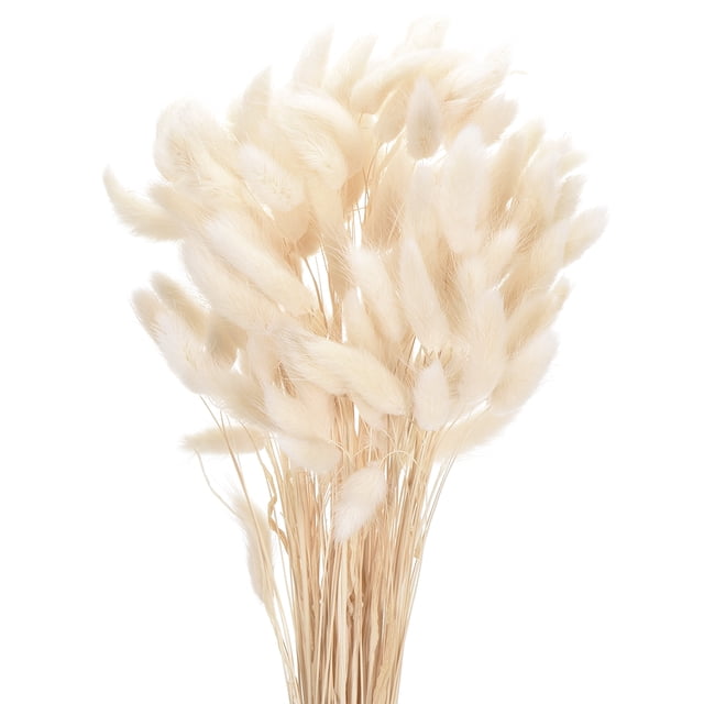 Uxcell 120pcs Colas de Conejo Naturales Flores Secas 17" Mini Hierba Pampas Lagurus Ovatus Ramo para Decoración Floral de Boda, Blanca
