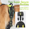 thumbnail image 4 of rabbitgoo No-Pull Pet Harness with 2 Leash Clips  Adjustable Soft Padded  Reflective No-Choke Pet Oxford Vest with Easy Control Handle for Large Dogs  Pink  L, 4 of 9