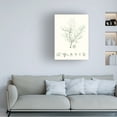 thumbnail image 3 of Vision Studio 'Sage Green Seaweed VII' Canvas Art, 3 of 3