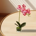 thumbnail image 5 of Glass Vase Artificial Orchid Bonsai - Phalaenopsis Flower Pot Arrangement For Home Table Centerpieces And Room Decor, 5 of 5