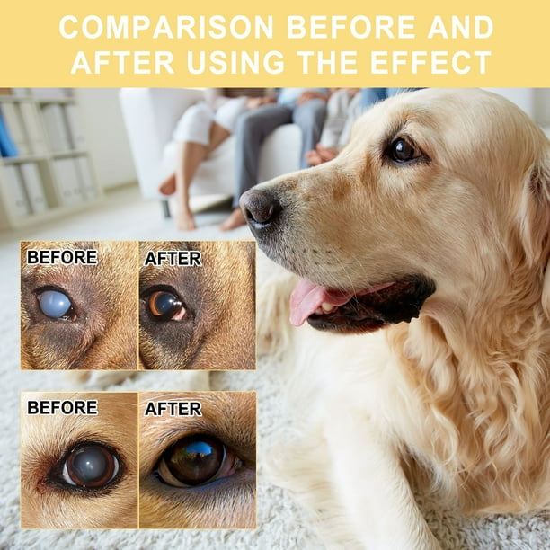 Dog eye drops clearance walmart