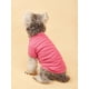 thumbnail image 3 of 1pc New White Solid Color Short Sleeve Comfortable Breathable Pet T-shirt For Small Dogs And Cats Round Neck Clothes, 3 of 4