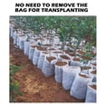 thumbnail image 6 of 100PCs B iodegradable Non Woven Fabric Nursery Plant Seedling Bags Grow Pla, 6 of 8