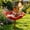 1 Pc, variant on Handmade Metal Flower Garden Stake Bird Bath Bowl, Outdoor Pollinator Watering Station for Garden Yard, Hummingbird Fountain Butterfly Bee Water Feeder, Decorative Yard Art Ornament Gift(3 PCS)