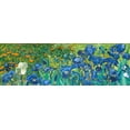 thumbnail image 2 of van Gogh, Vincent 18x9 White Modern Wood Framed Museum Art Print Titled - Irises (detail), 2 of 4
