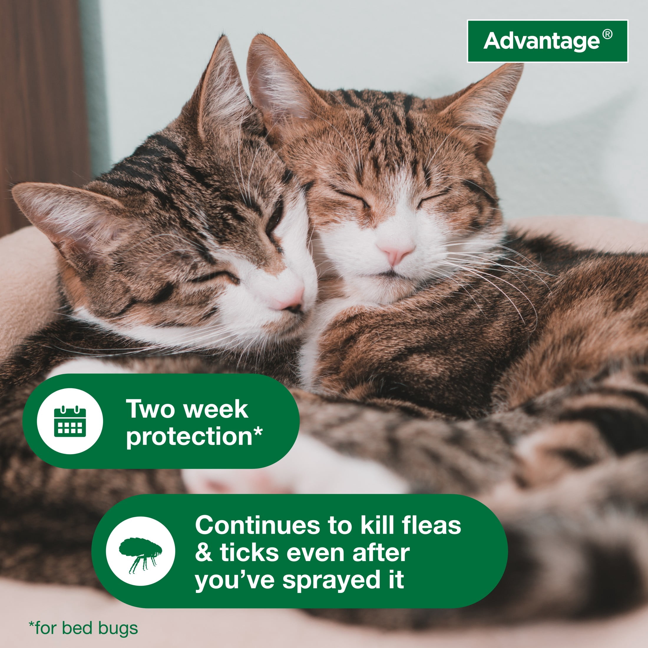 Advantage Carpet & Upholstery Spot Spray, Kills Fleas & Ticks & Bedbugs, 24 oz.