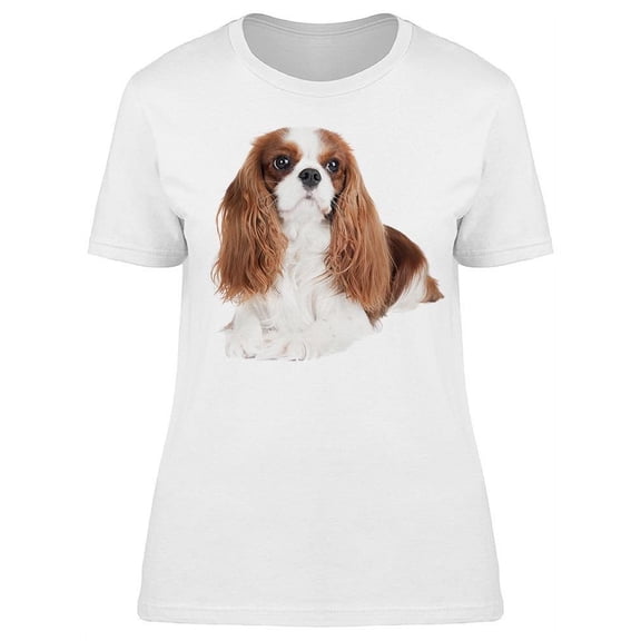 King Charles Spaniel Posing T-Shirt Women -Image by Shutterstock, Female XX-Large