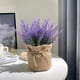 thumbnail image 5 of onlyliua Liquidación de Rebajas de Hoy Plantas Artificiales En Macetas, Miniplantas En Flora y Maceta En Decoración Del Hogar, Fiesta, Boda, Jardín, Mesa, Oficina, Patio, 5 of 6