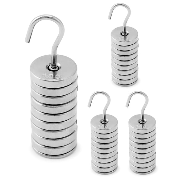 Set de masa ranurada de laboratorio QWORK, metal cromado, 100 g, 9 x 10 g