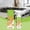 Green, variant on ChicYu 120ml Kitchen Cleaner Spray,Fly Cleanse to Household Appliances,Kitchen Appliance Cleaner,For Hold,Oven,Stove,Range Hood