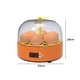 thumbnail image 4 of Incubadora Btafrte Máquina Incubación 15 W Control Temperatura Ajustable 6 Huevos, 4 of 9