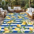 thumbnail image 2 of Lemon Flowers Outdoor Rug 5x7 Ft - Reversible Patio Rug Outdoor Camping Rugs, Botanical Leaves Blue Vertical Stripes Washable Indoor Outdoor Area Rugs, Non-Slip Outdoor Carpet Runner for Deck/Porch, 2 of 8