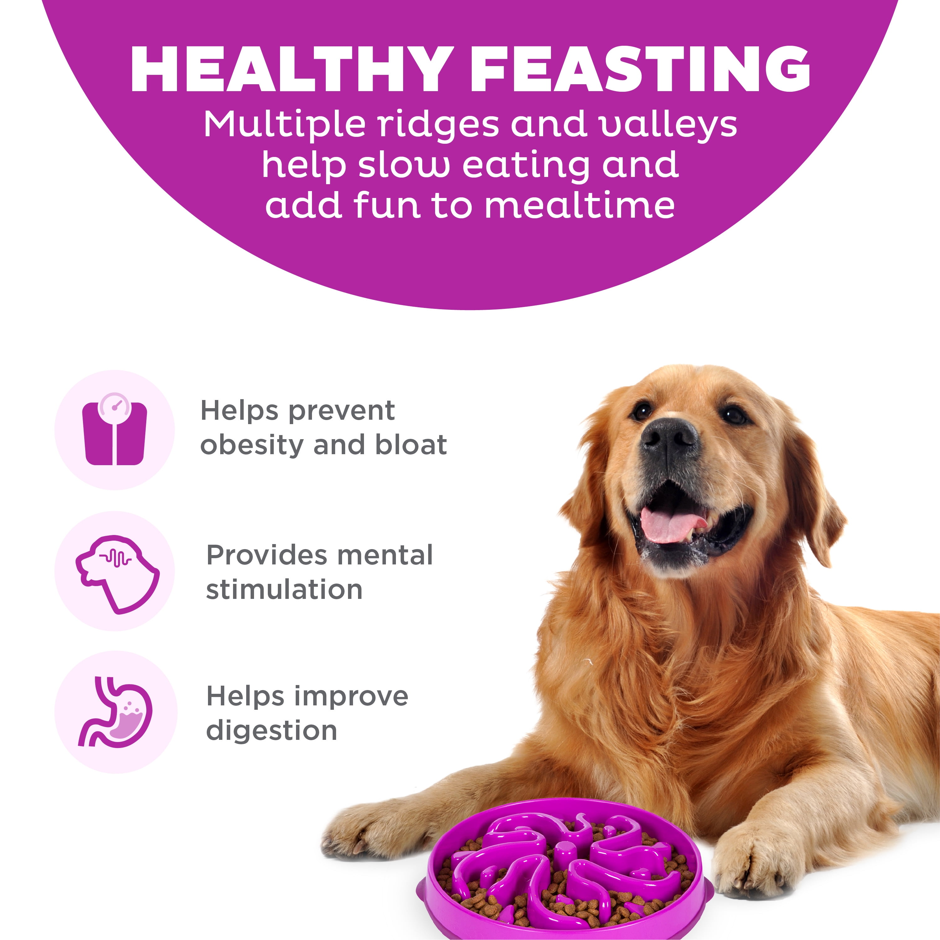 (4 pack) Outward Hound Fun Feeder Slo Bowl – Large 4‑Cup Capacity, Slow Feeding, Medium to Large Dogs, Non‑Slip, Purple, Flower Pattern