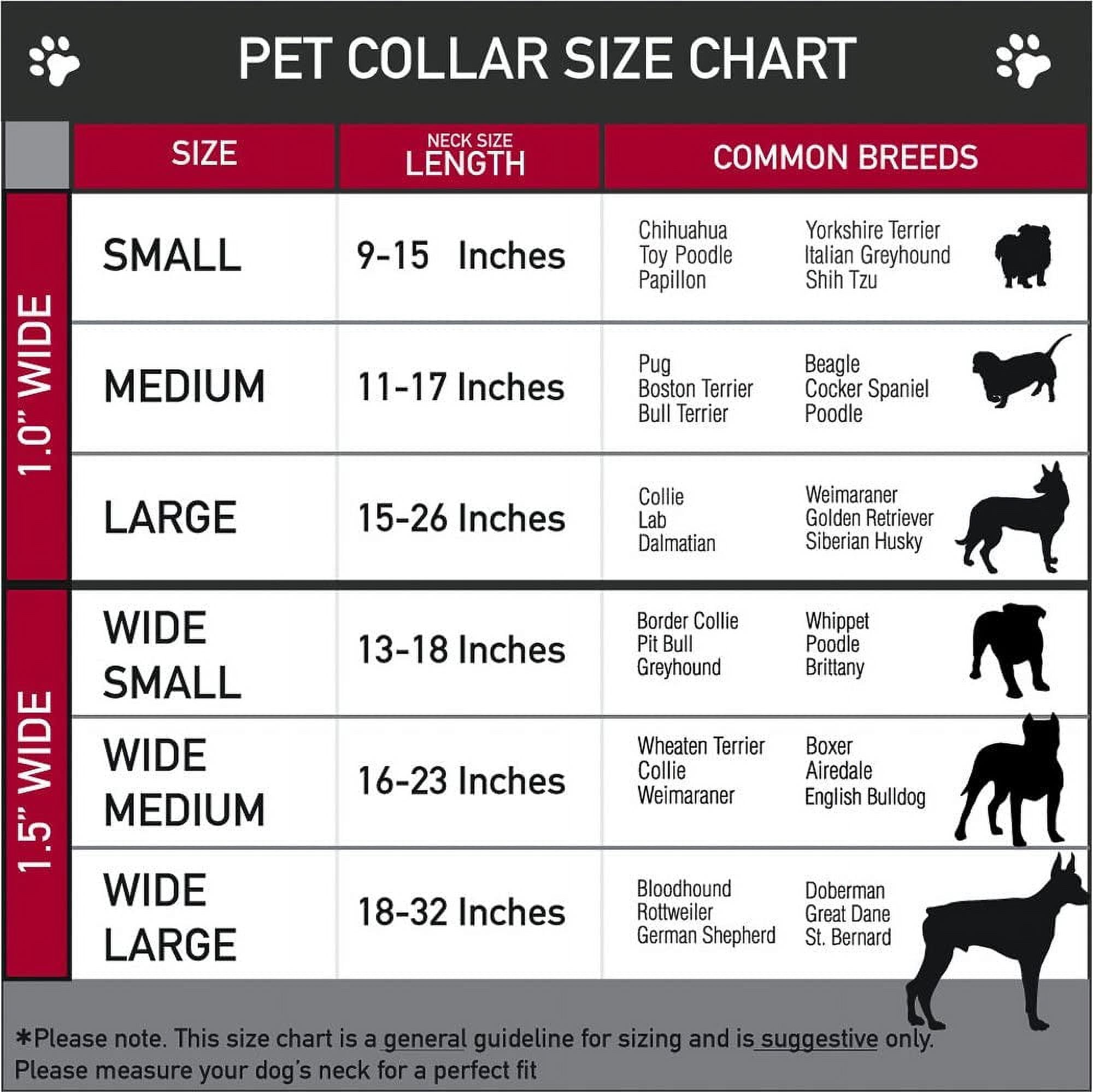 Buckle-Down Maryland Flags Martingale Dog Collar