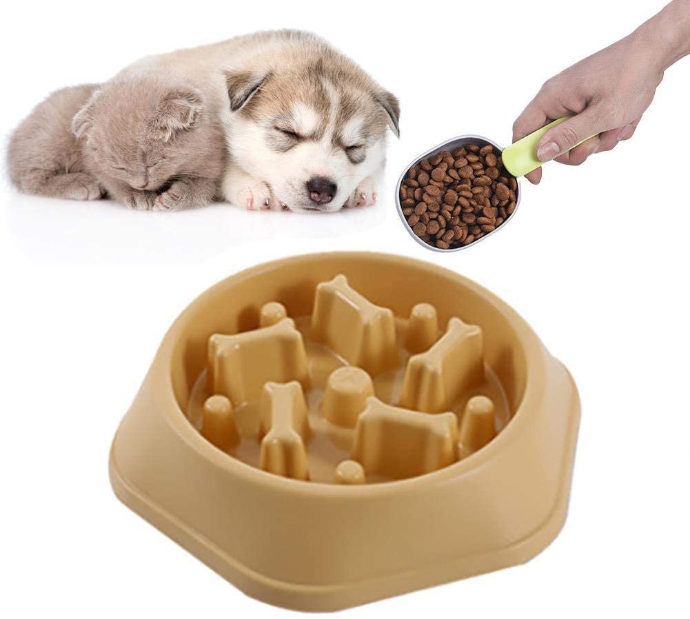 Cat Food Bowl, Interactive Dog Slow Feeding Bowl, Dog Bowl Designed for