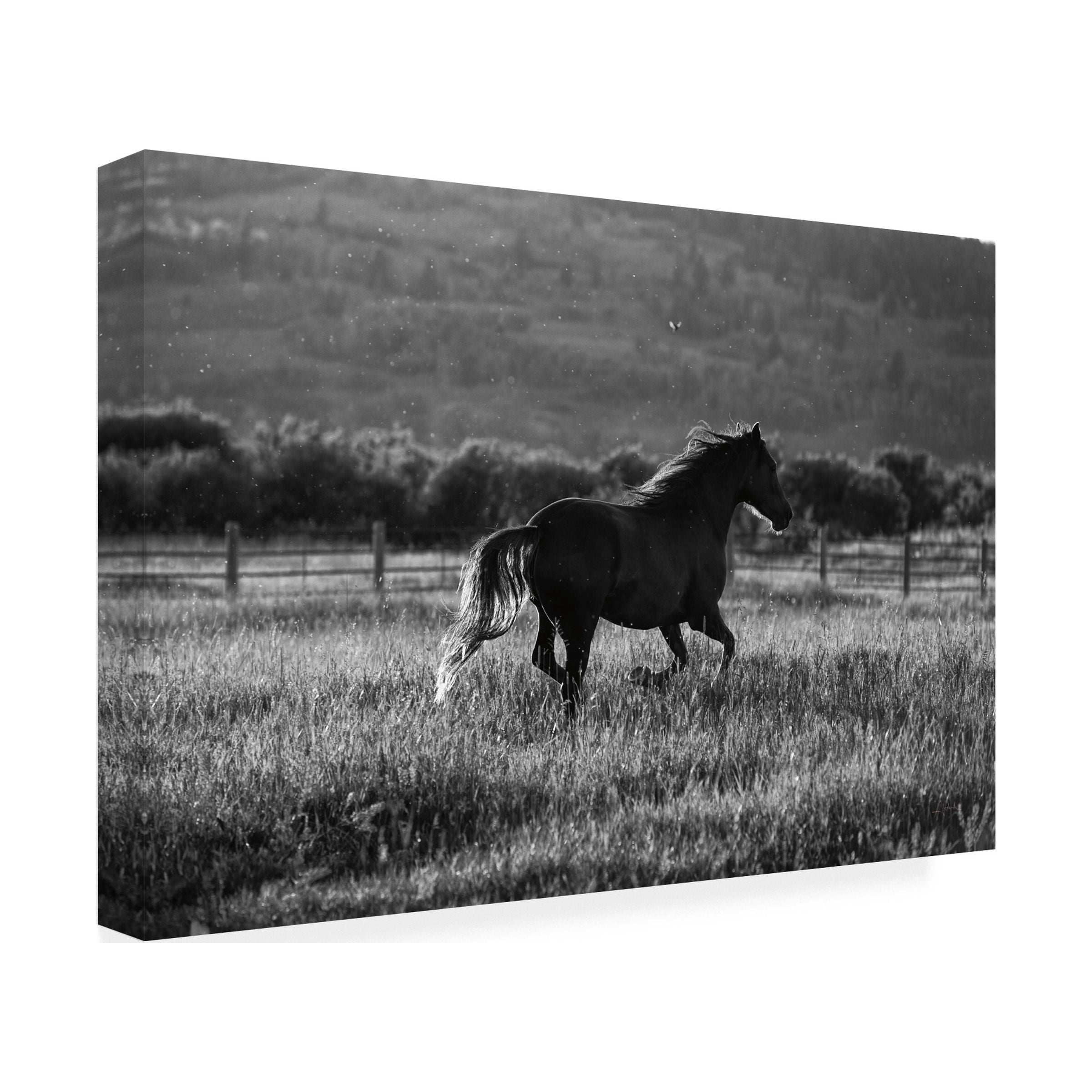 Aledanda 'Going Home' Canvas Art