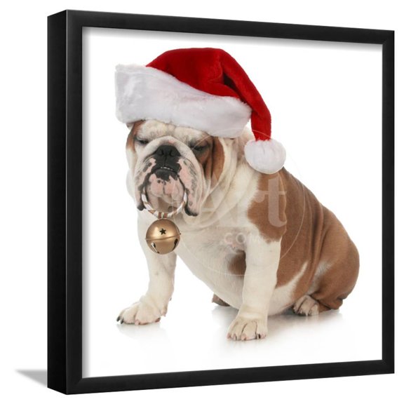 Christmas Dog  English Bulldog Wearing Santa Hat Holding Christmas Bell, Animals Seasons Framed Art Print Wall Art by Willee Cole Sold by Art.Com