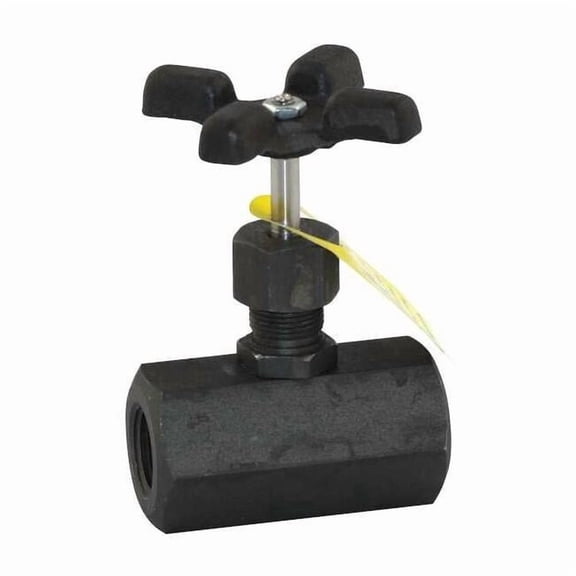 Apollo Valves Globe Valve,1/2",Steel,FNPT,10,000 psi 60B10324