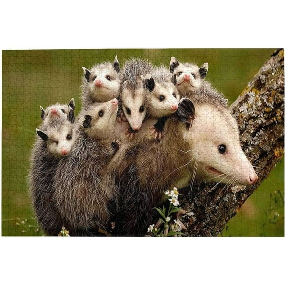 Jigsaw Wooden puzzle 300 pieces for Adults - Opossum Family Animal Puzzle- Wooden Puzzles Wall Art Decor Leisure Game Preschool Toys Best Gift for Adults Teens