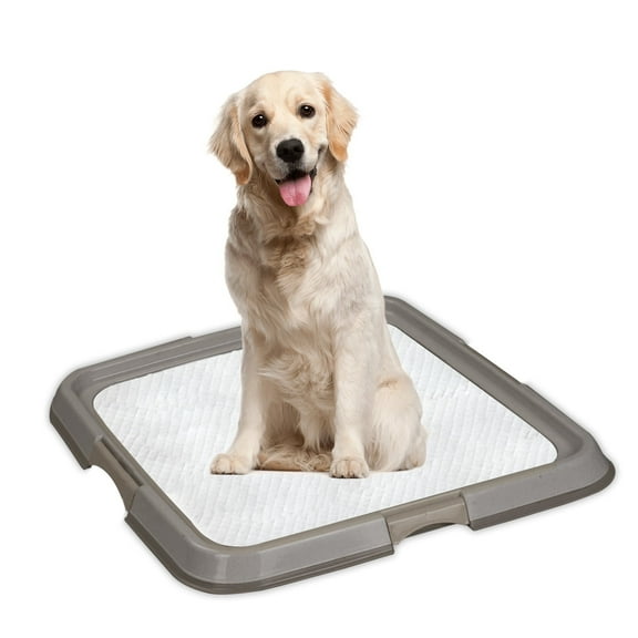 PAWISE Large Dog Pee Pad Holder, 23.6" x 23.6" Indoor Dog Potty Training Tray