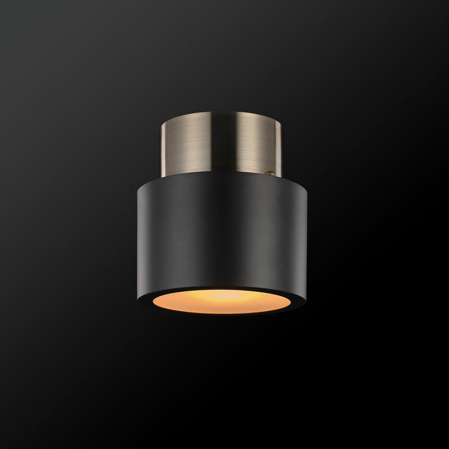 Plafonnier quasi affleurant en métal Stanley par Globe Electric à 1 ampoule, noir mat, accent laiton antique, 61106