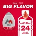 thumbnail image 4 of MiO Sugar Free Water Enhancer Variety Pack: Cherry Blackberry, Blueberry Lemonade, Strawberry Watermelon & Berry Pomegranate, 4 ct Pack, 1.62 fl oz Bottles, 4 of 9