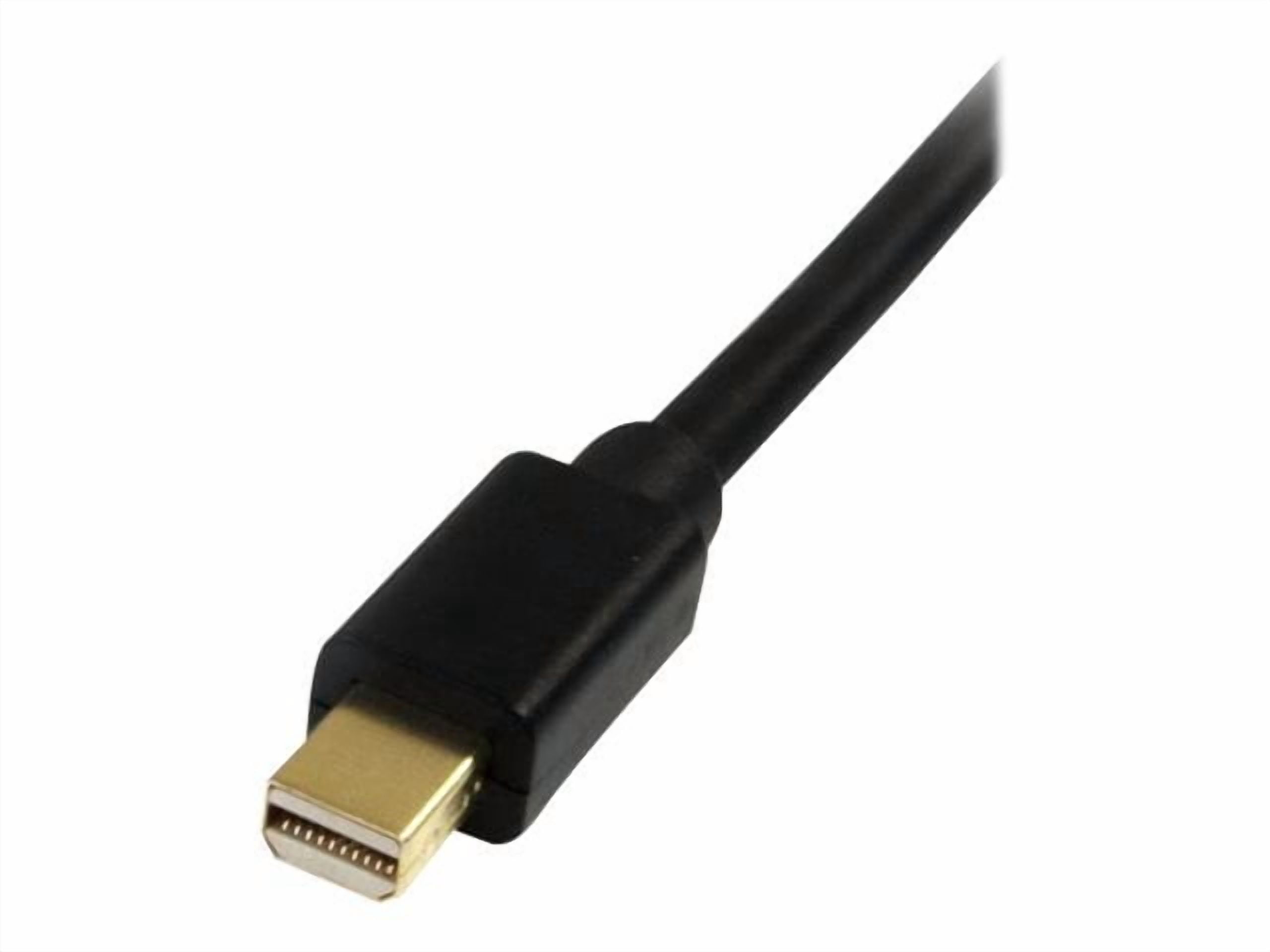 BUTTERFLY- Startech Mdp2Dpmm10 10 Ft Mini Displayport To 1.2 Adapter Cable M/M 4K