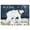 Bear, variant on Current Reindeer Sleigh Christmas Cards - Set of 18, 5" x 7"