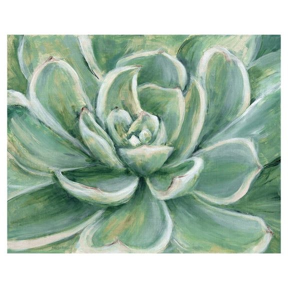 Masterpiece Art Gallery Desert Green Succulent by Marilyn Dunlap Canvas Art Print 22" x 28"