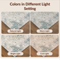 thumbnail image 7 of Design&I 8'x10' Ultra Soft Area Rug, Beige Vintage Distressed Motif Traditional Scroll Frame Border None Fluffy Washable Non Shedding for Bedroom Living Room Under Sectional, 7 of 7