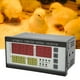 thumbnail image 5 of Controlador De Temperatura De La Incubadora De Huevos, Termostato De Temperatura De La Incubadora De Huevos De Alta Precisión Fácil De Operar Para Refrigeradores De Incubadoras, 5 of 7