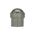 thumbnail image 2 of Dill Air Controls Passenger Car Valve Cap- Pack of 100, 2 of 2
