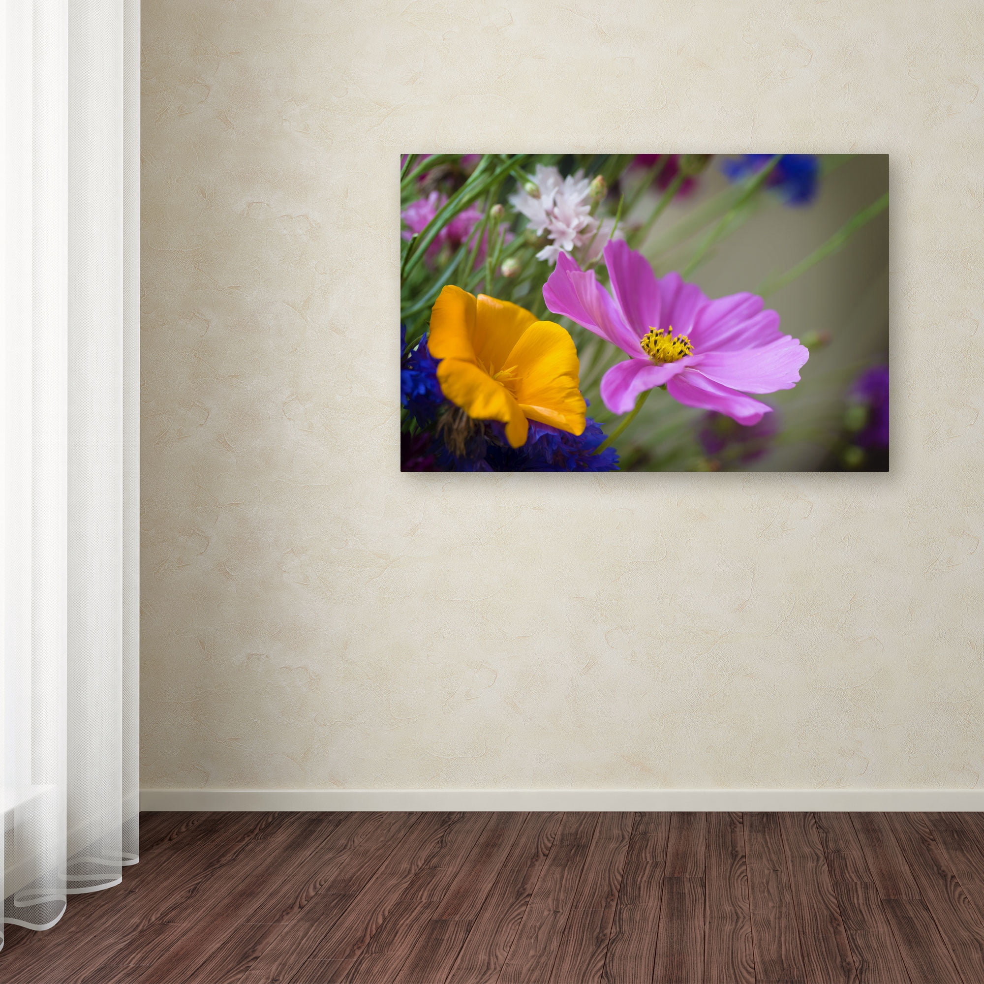 Trademark Fine Art "Cosmos of the Fields" Canvas Art by Philippe Sainte-Laudy