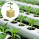 thumbnail image 4 of Tablero de lana de roca hidropónica Cultivo sin suelo eficiente Bloque de nutrientes Cultivo sin suelo en invernadero Alta retención de agua Reutilizable, 4 of 8