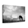 thumbnail image 1 of Grazing Horse Canvas Print, 1 of 4