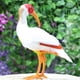 thumbnail image 2 of Pájaros Realistas Con Plumas Figuras De Animales Realistas Para La Decoración Del Jardín Casero - 10 Estilos Pájaros - # 7 Ibis con cresta roja Ibis crestado rojo Sunnimix Estatua animal realista, 2 of 8