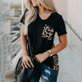 thumbnail image 1 of New Women's Casual Loose T Shirts Color Matching Design Pockets Decor V Neck Short Sleeve Leopard Print Pullovers Top, 1 of 2