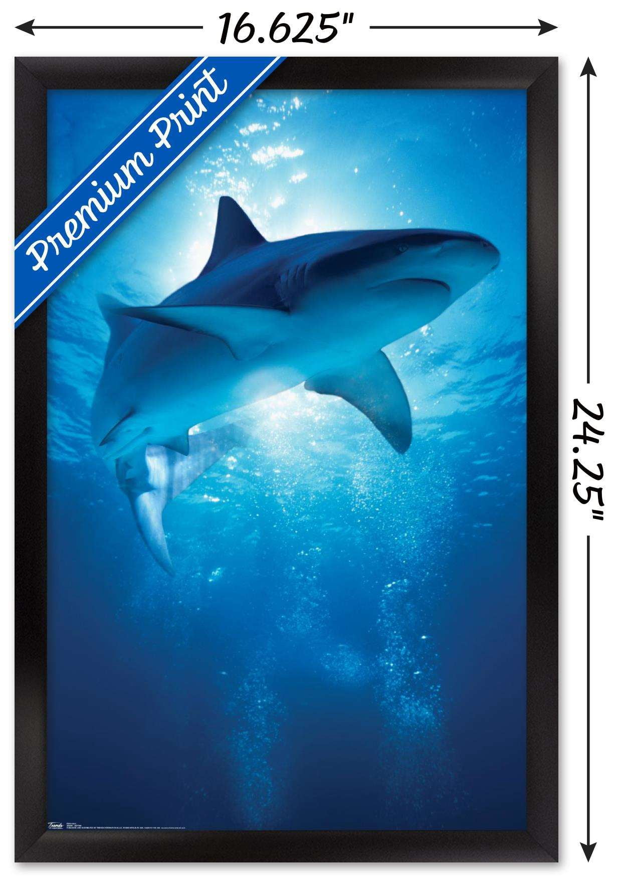Shark - Depths Wall Poster, 14.725" x 22.375", Framed