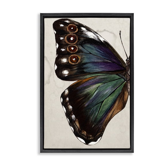 Stupell Industries Rustic Lodge Traditional Butterfly Wing Black Floating Frame Canvas Art, 17 x 25, by Melissa Wang
