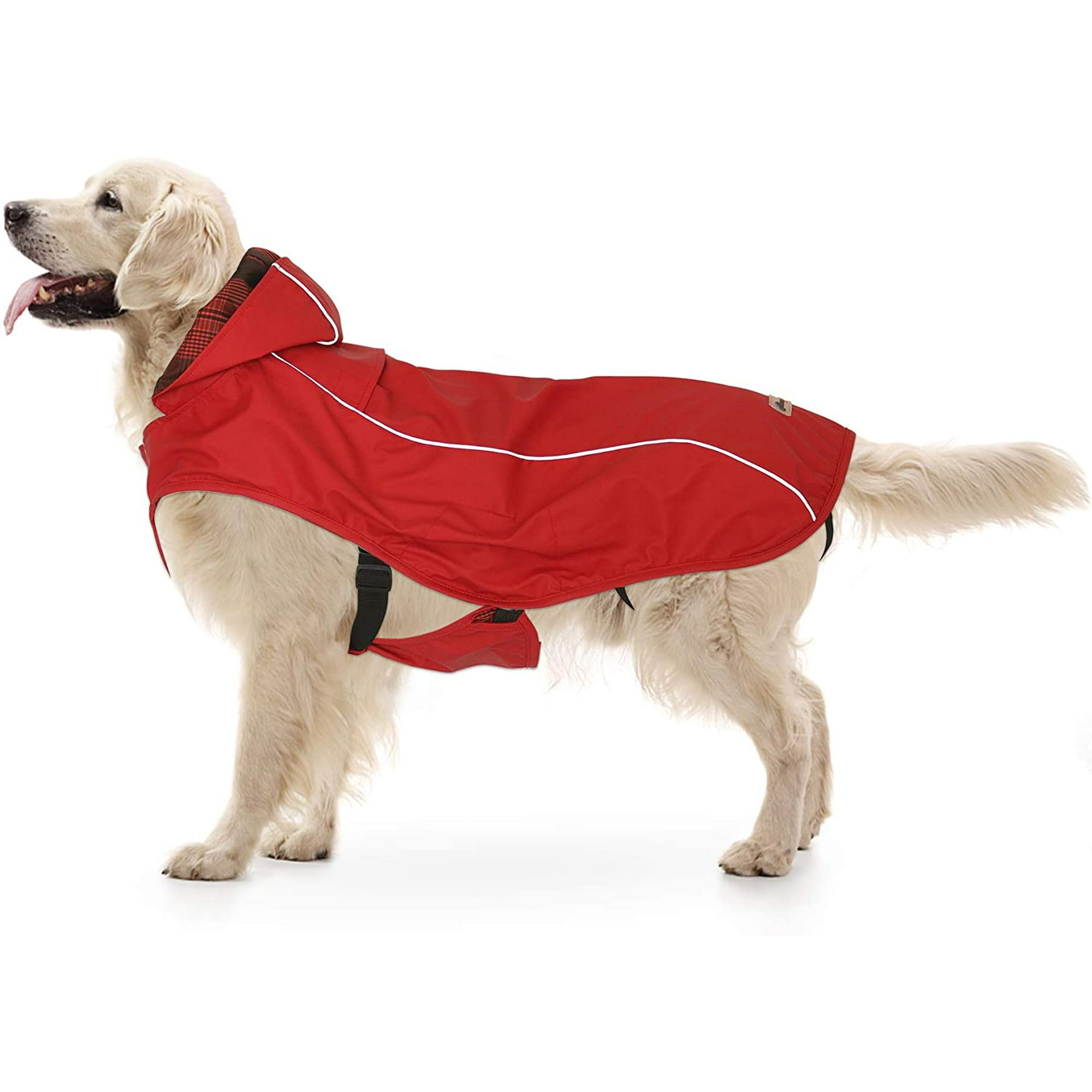 Do Dogs Get Cold In The Rain