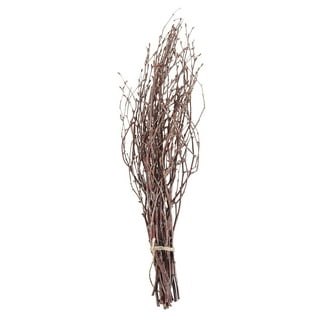 Uniquewise 47 in. Natural Decorative Dry Branches Authentic Willow