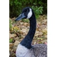 thumbnail image 6 of Hi-Line Gift Standing Canada Goose Statue, Grey/Natural, 6 of 7