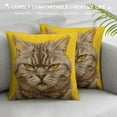 thumbnail image 3 of Qinduosi Angry Cats Pillow Cover Serious Cat Throw Pillow Covers Yellow Pillowcovers Soft Double Side Print Sofa Linen Square Throw Pillowcover " inch for Living Room Bedroom Car Decor, 3 of 5